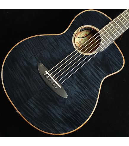 aNueNue Bird Guitar aNN-M10E エレアコ Amazon | aNueNue Bird Guitar aNN-M10 ミニアコースティック